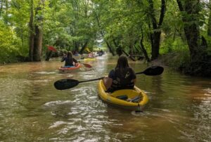 Paddling down tree-lined Beaver Creek