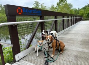 Pedestrian Bridge by BoardSafe