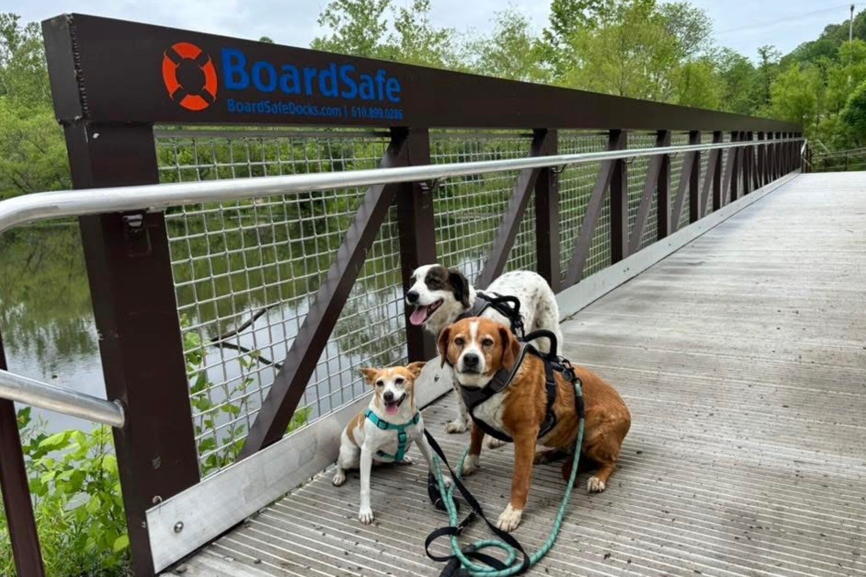 Pedestrian Bridge by BoardSafe