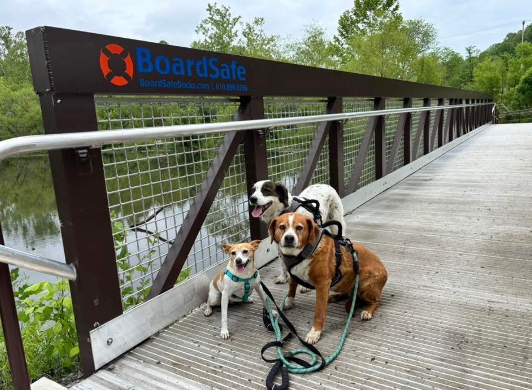 Pedestrian Bridge by BoardSafe